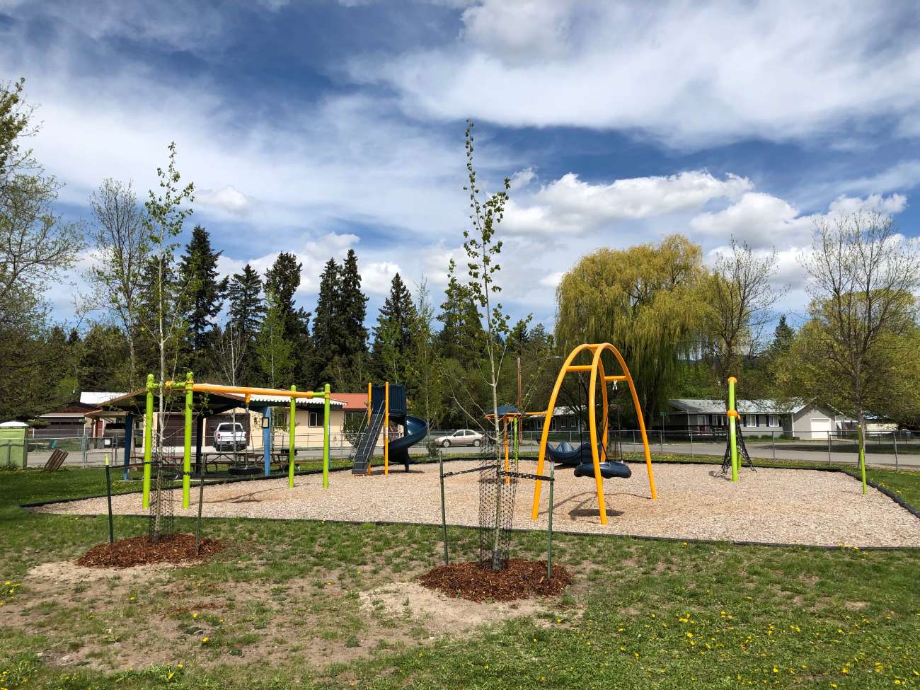 Memorial Tree Program