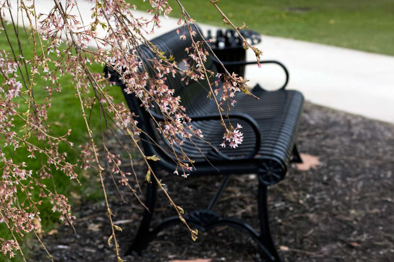 Memorial Bench Program