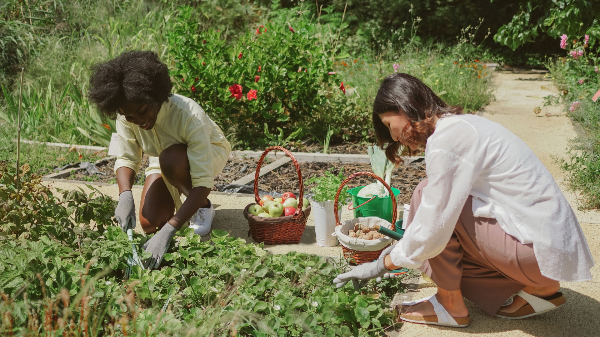 City of Crestview Spring Volunteer Events 