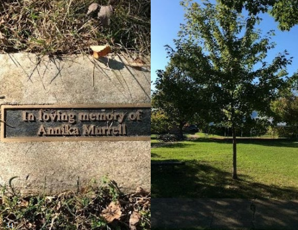 Memorial Tree Program