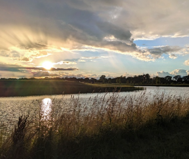 Memorial Bench Program