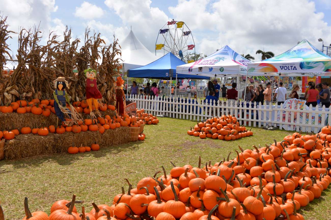 Pumpkin Patch Sponsorship Opportunities
