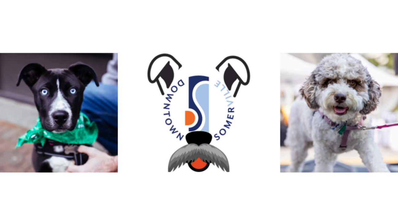 Downtown Somerville Puppy Pawlooza Sponsorships