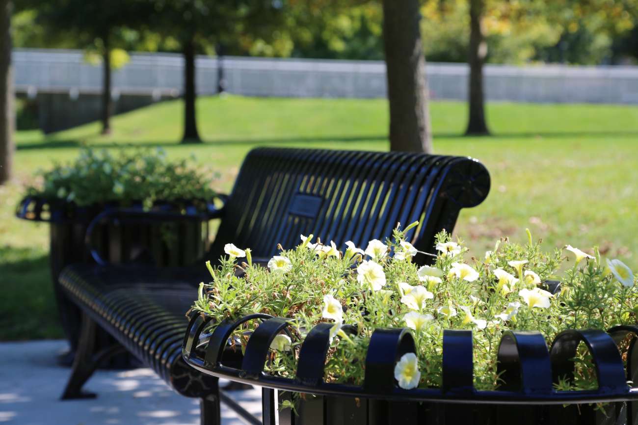 Memorial Bench