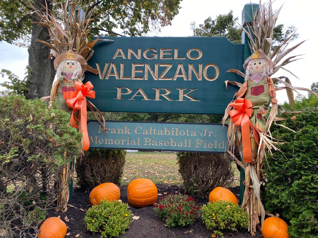 Angelo Valenzano Park Memorial Bench Program
