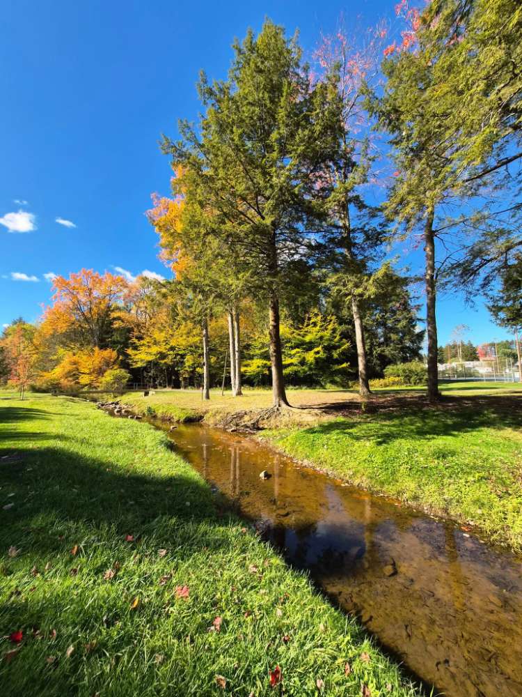 2026 Movin' for Miles Walking Club