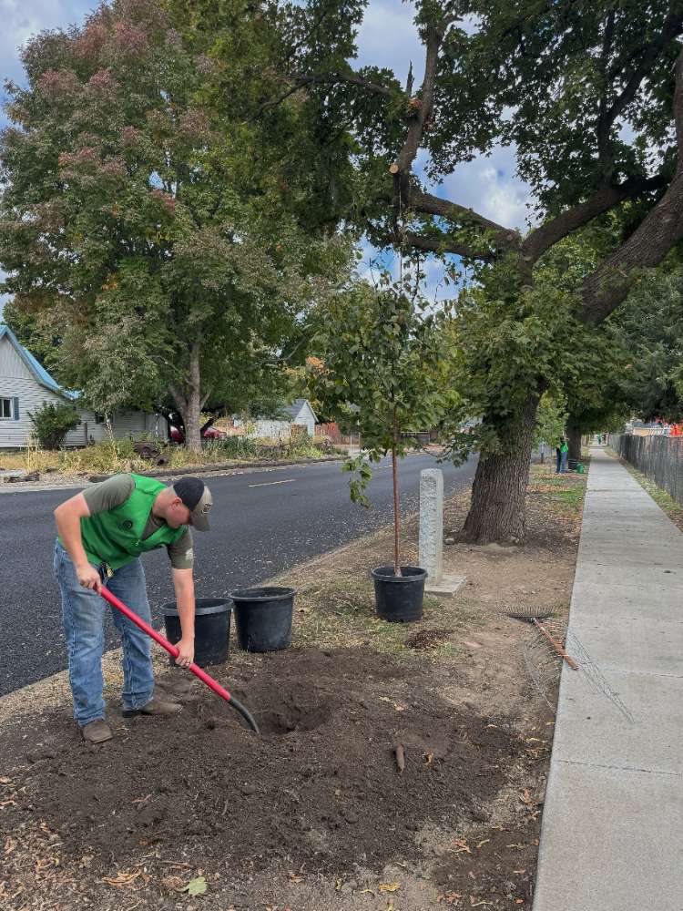 Sponsor a Tree Program