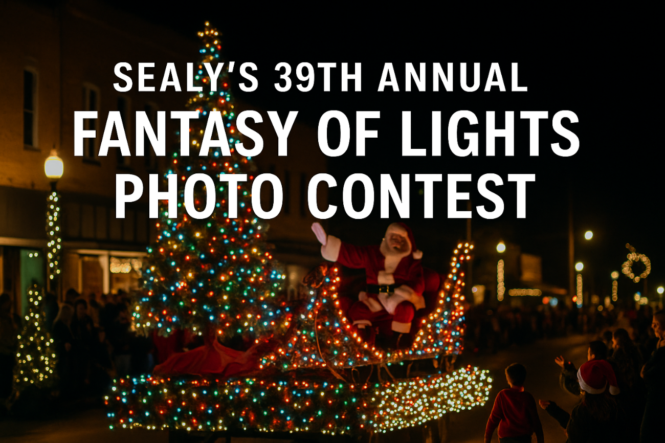 2025 Discover Sealy Photo Contest for the Fantasy of Lights