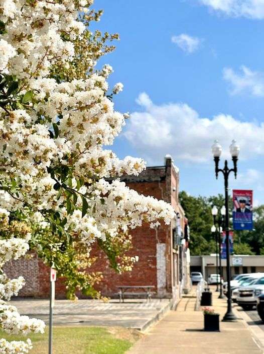 DeRidder Main Street Beautification Fund