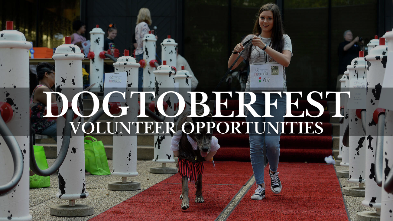 Dogtoberfest Volunteer Opportunities