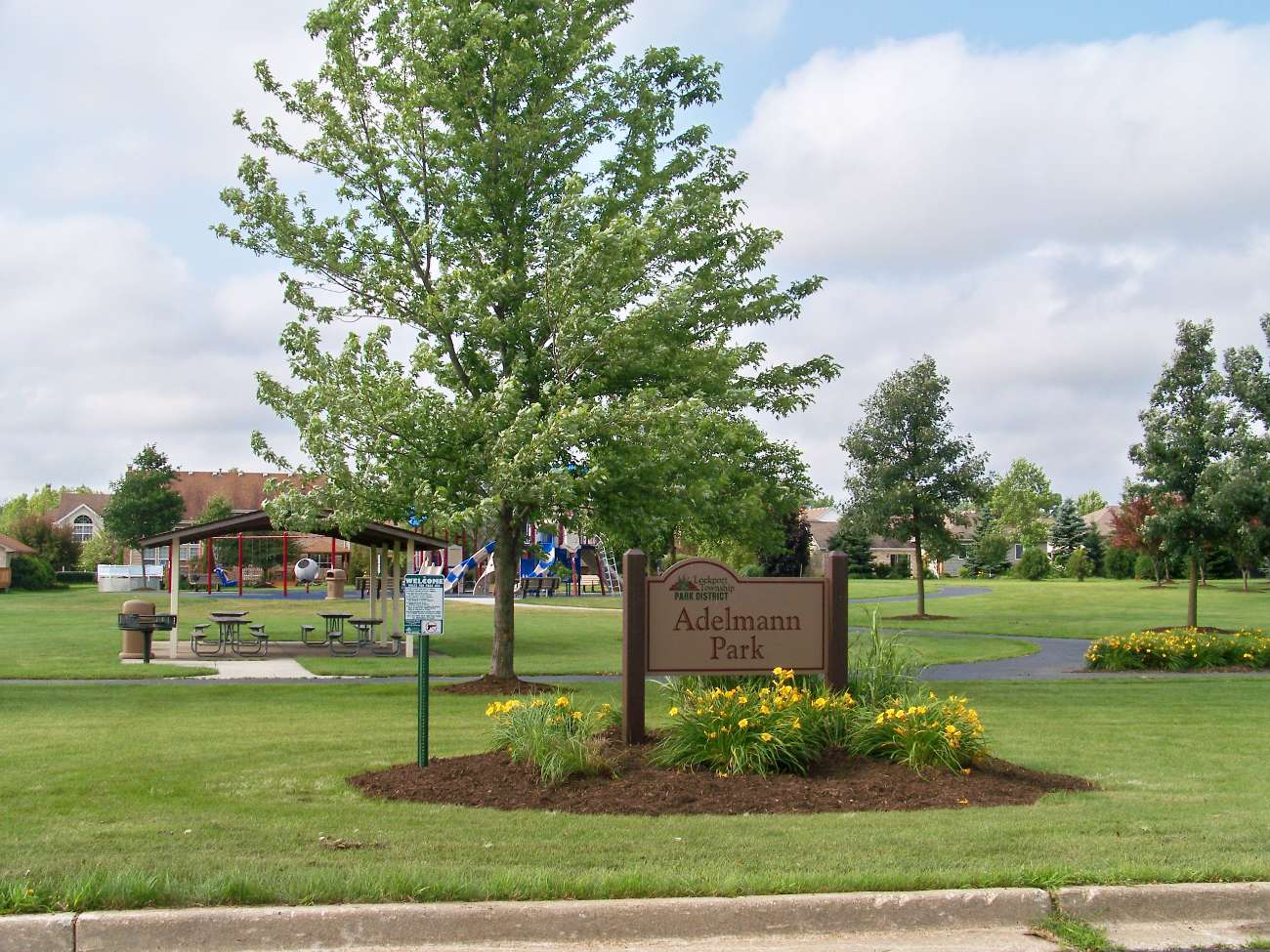 Memorial tree in a Lockport Township Park District park