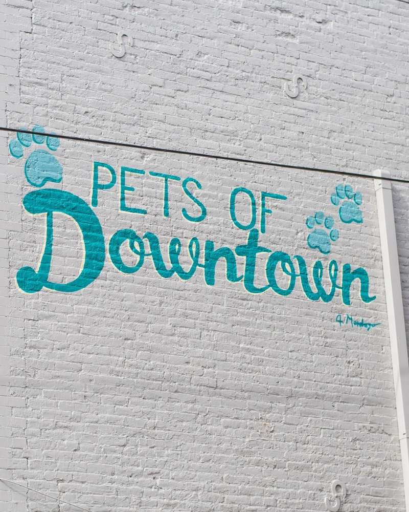 Pets of Downtown Mural Campaign