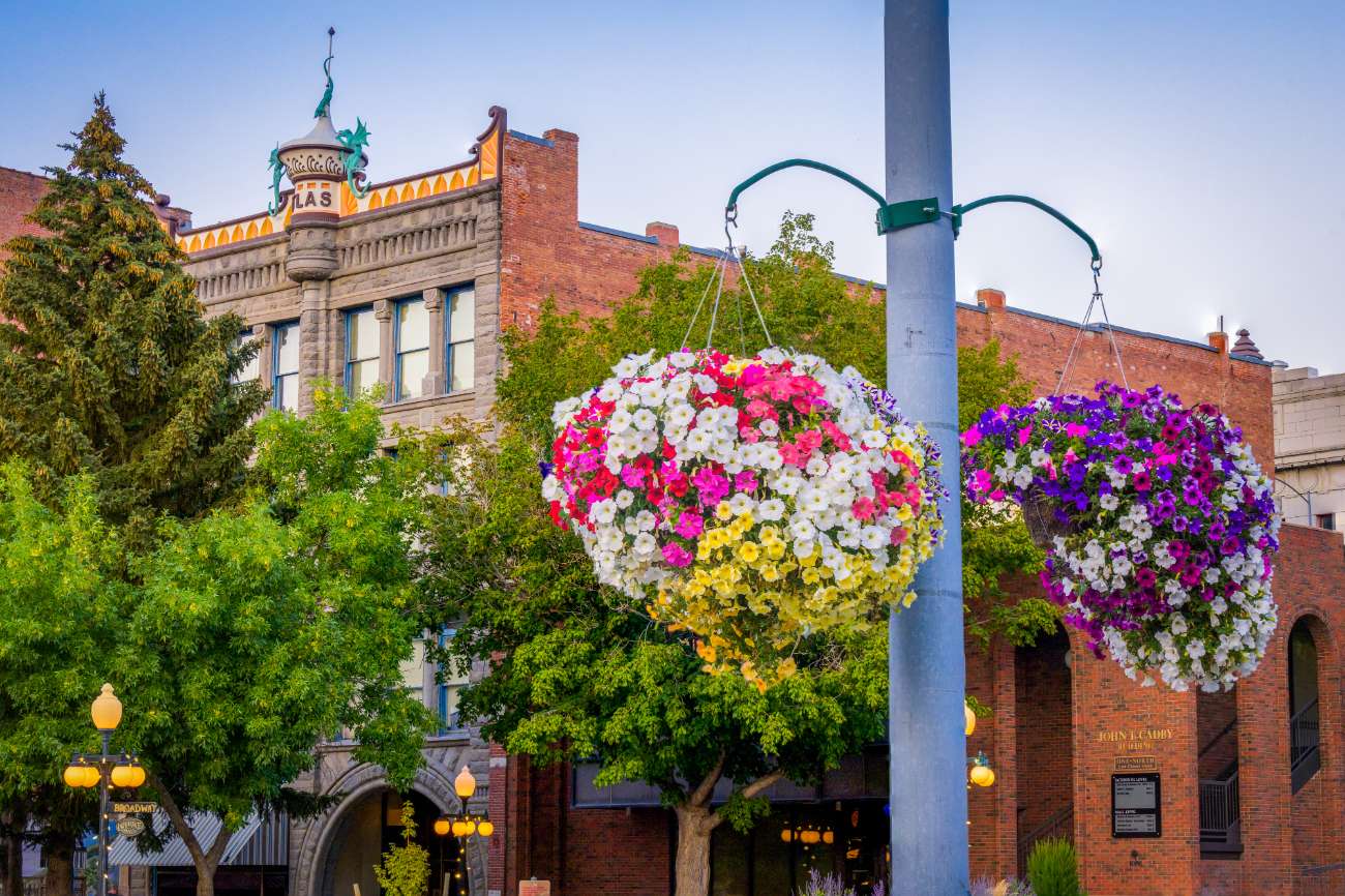 Help Make Downtown BLOOM 🌸