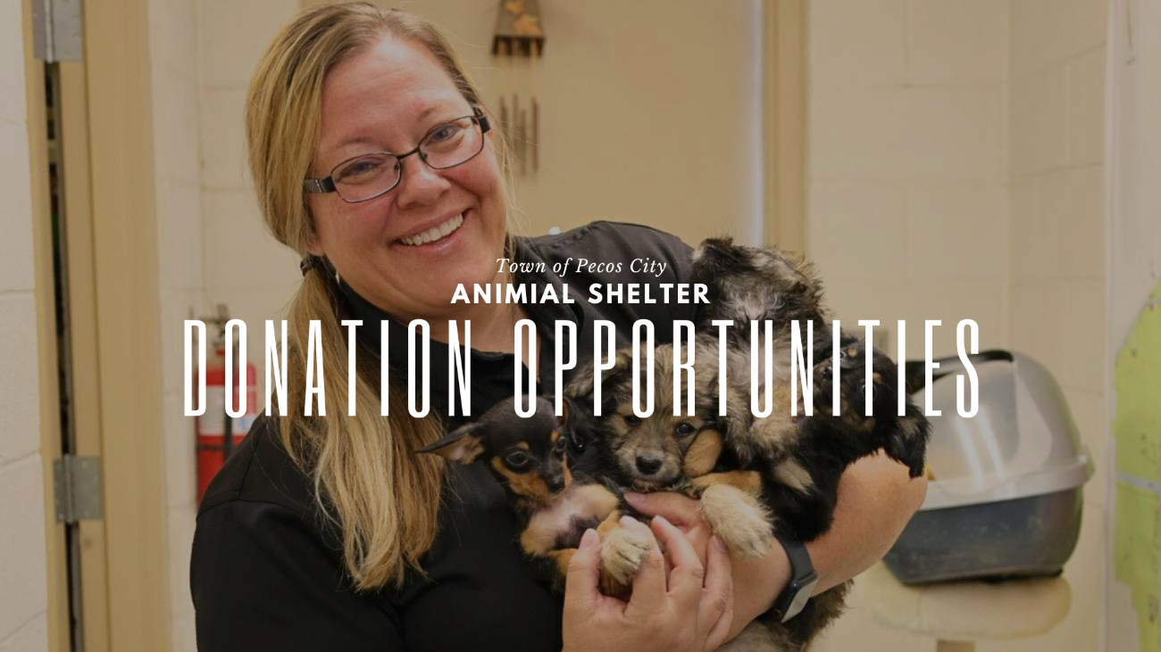 Pecos Animal Shelter Fundraising Opportunities 