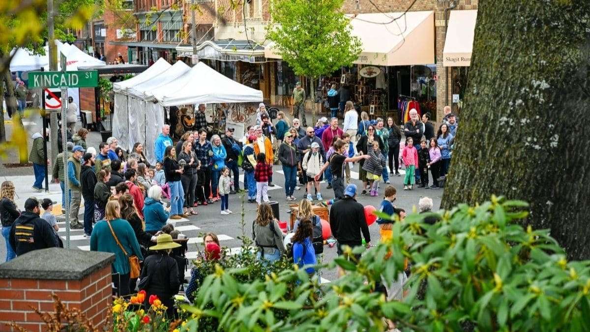 2027 Tulip Festival Street Fair Artisan Application
