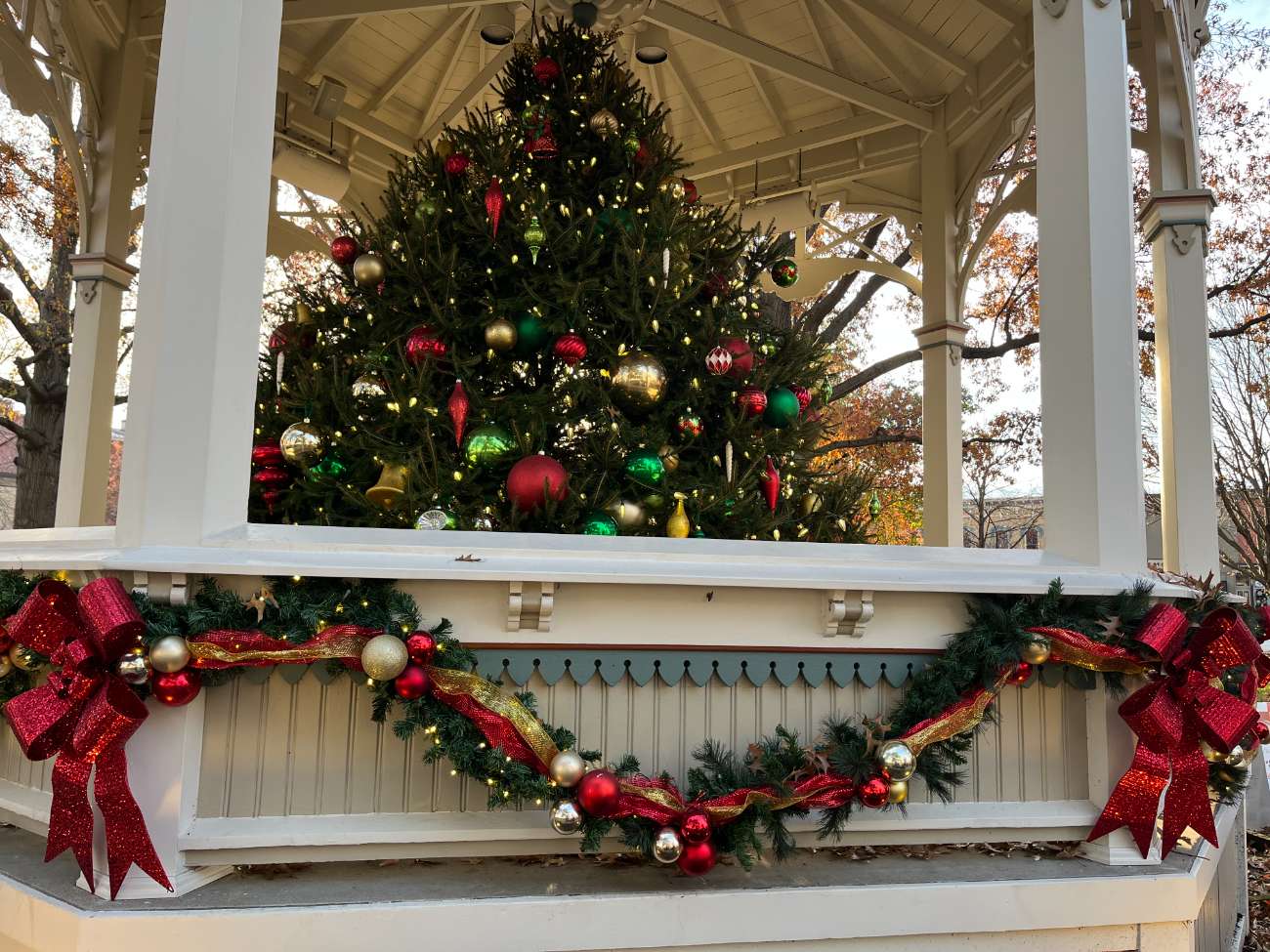 Medina Holiday Decorations Donor Campaign
