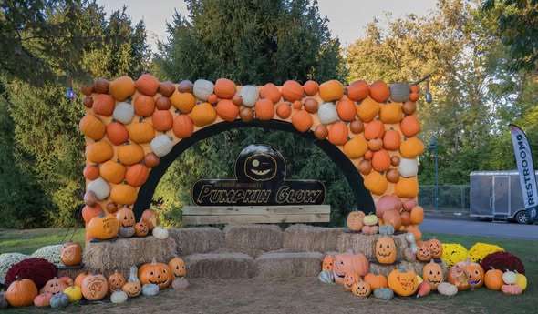 Pumpkin Display Sponsorships: 2026 Pumpkin Glow