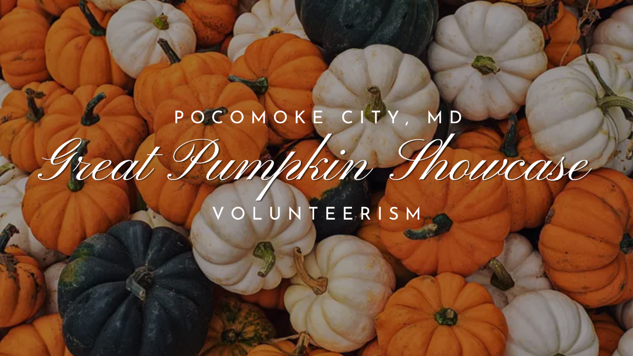 Great Pumpkin Showcase Volunteer Opportunities