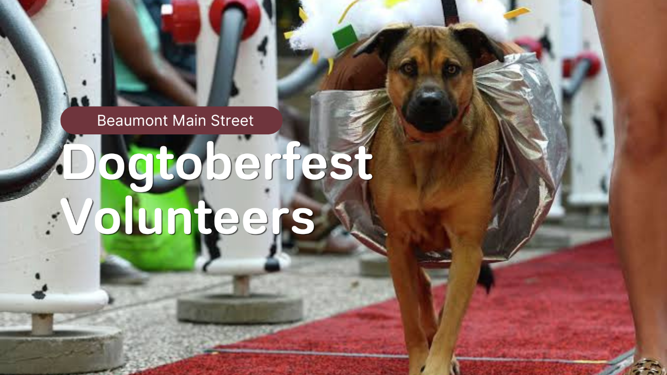 Dogtoberfest Volunteer Opportunities