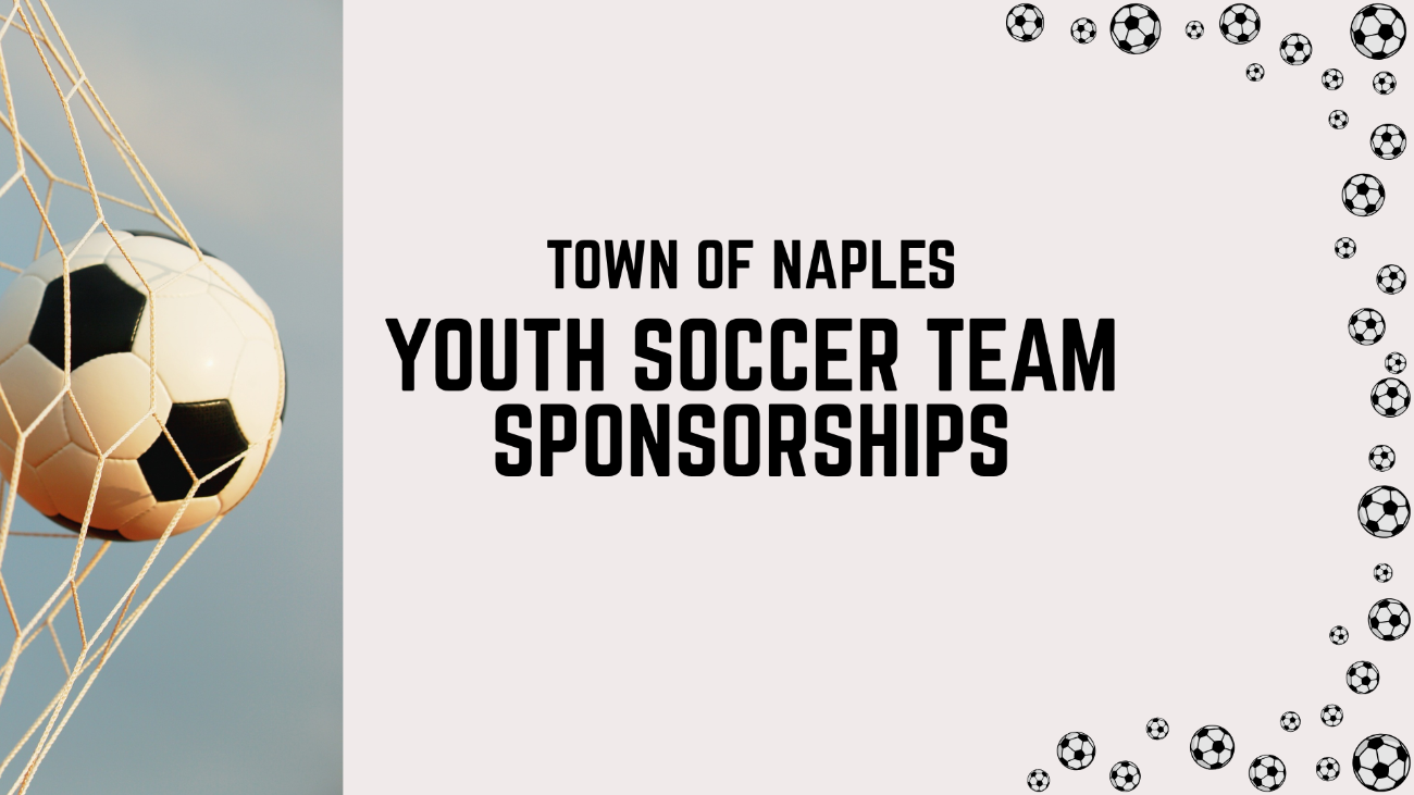 Youth Soccer Team Sponsorship
