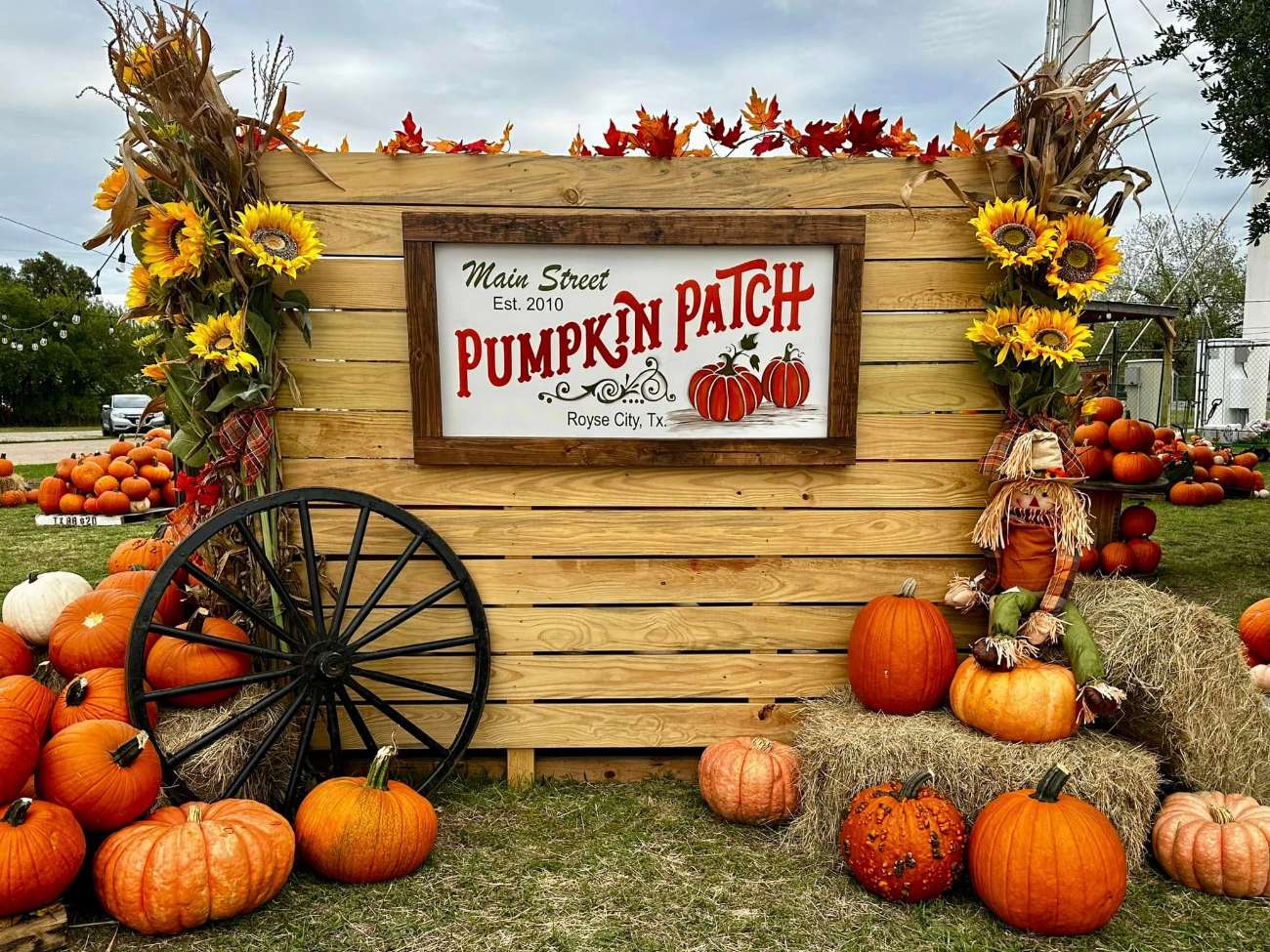 2026 Main Street Pumpkin Patch Volunteers