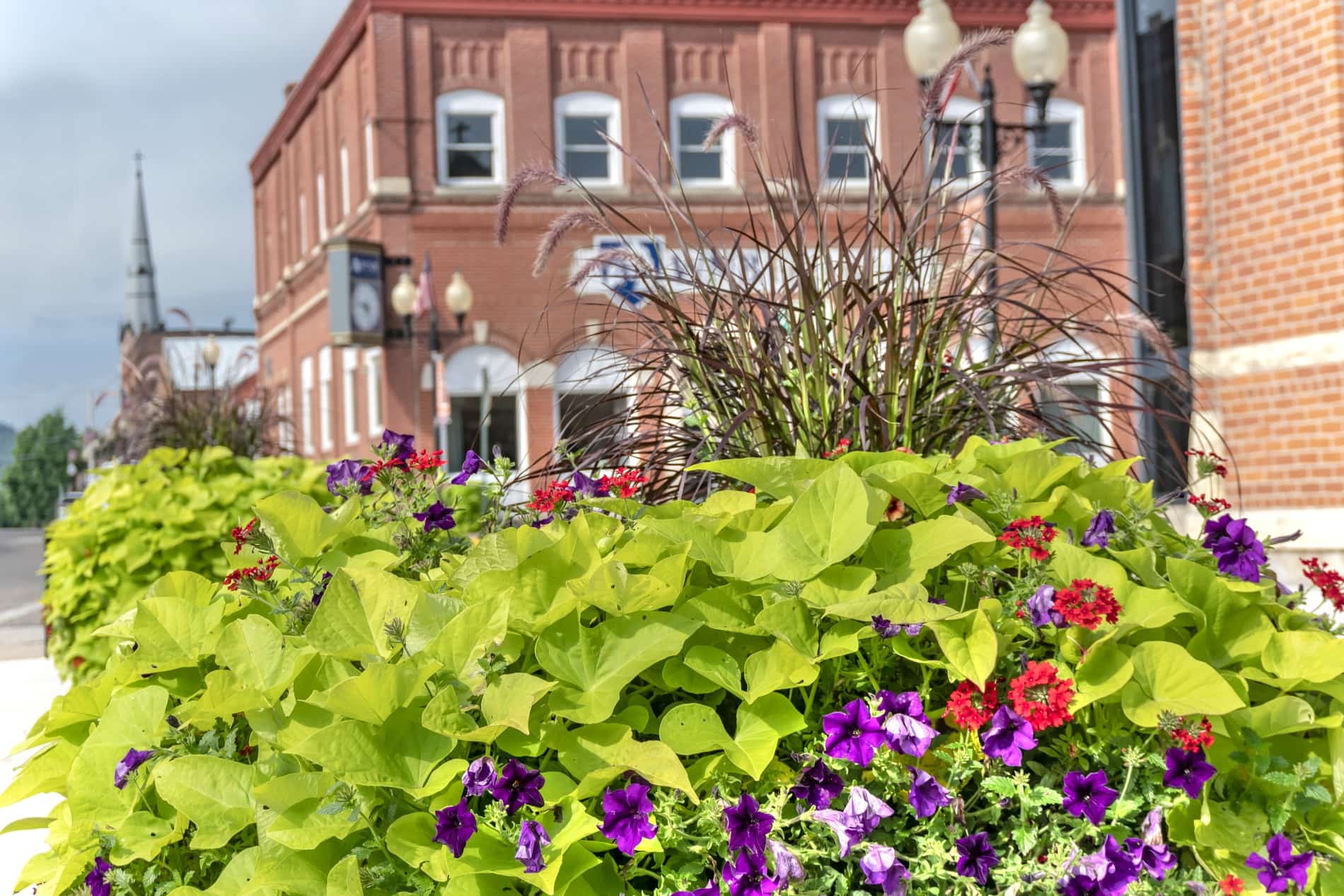 Adopt-a-Planter Sponsorship Program