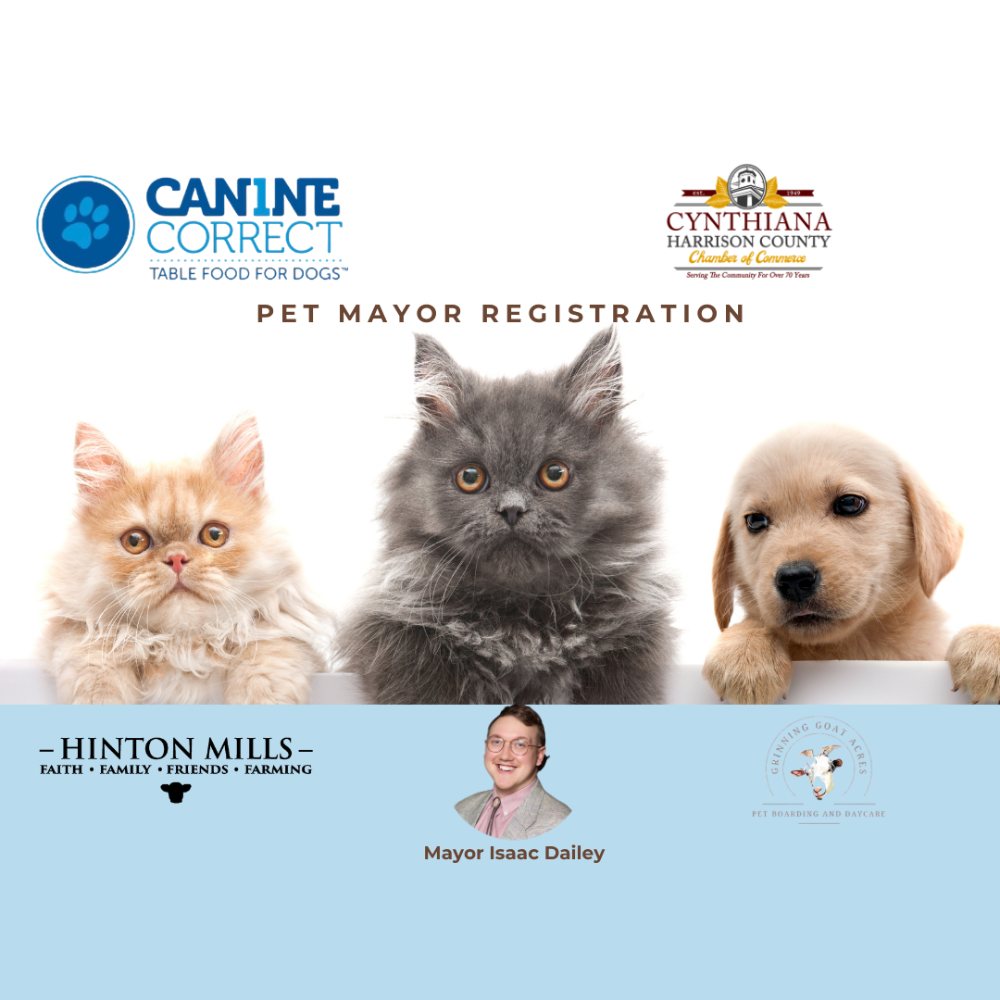 Register Your Furry Friend for Pet Mayor