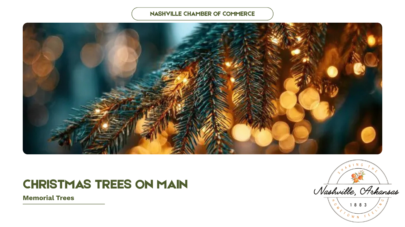 Christmas Trees on Main