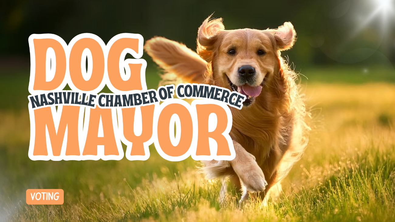 Dog Mayor Voting