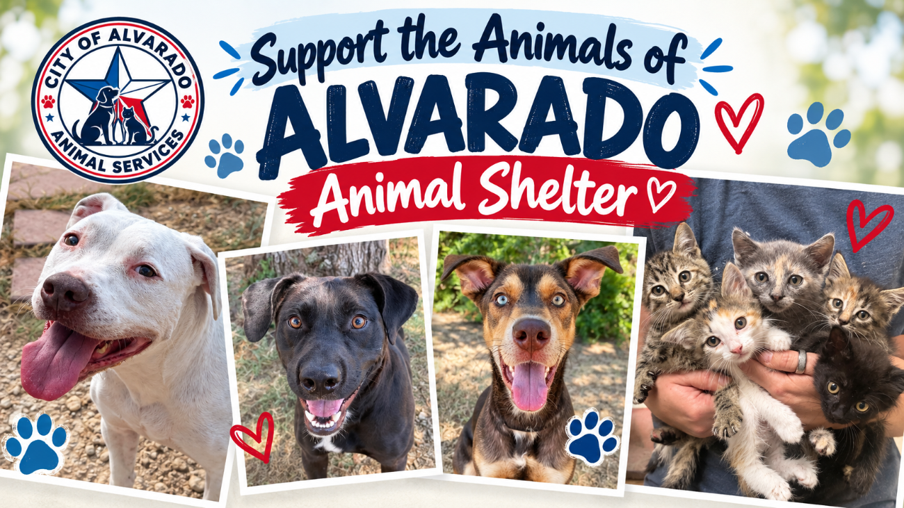 Support the Alvarado Animal Shelter