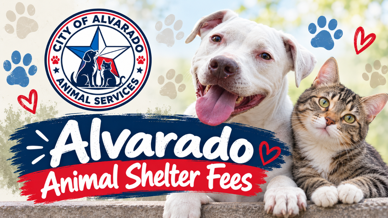 Alvarado Animal Shelter Fees