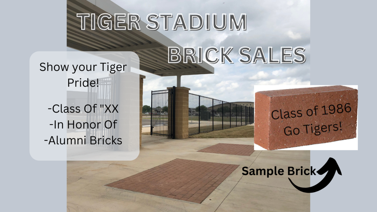 Tiger Stadium Brick Program