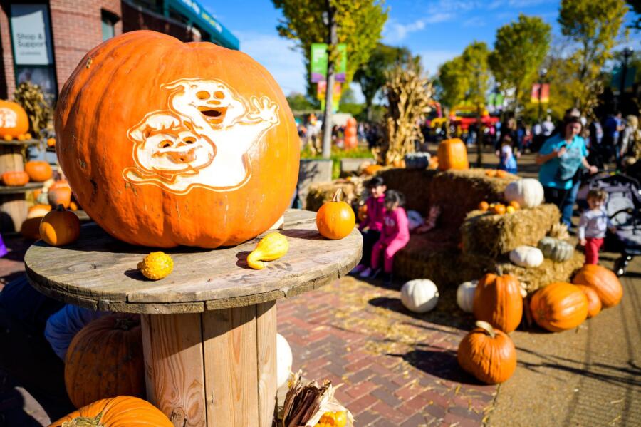 Halloween Events