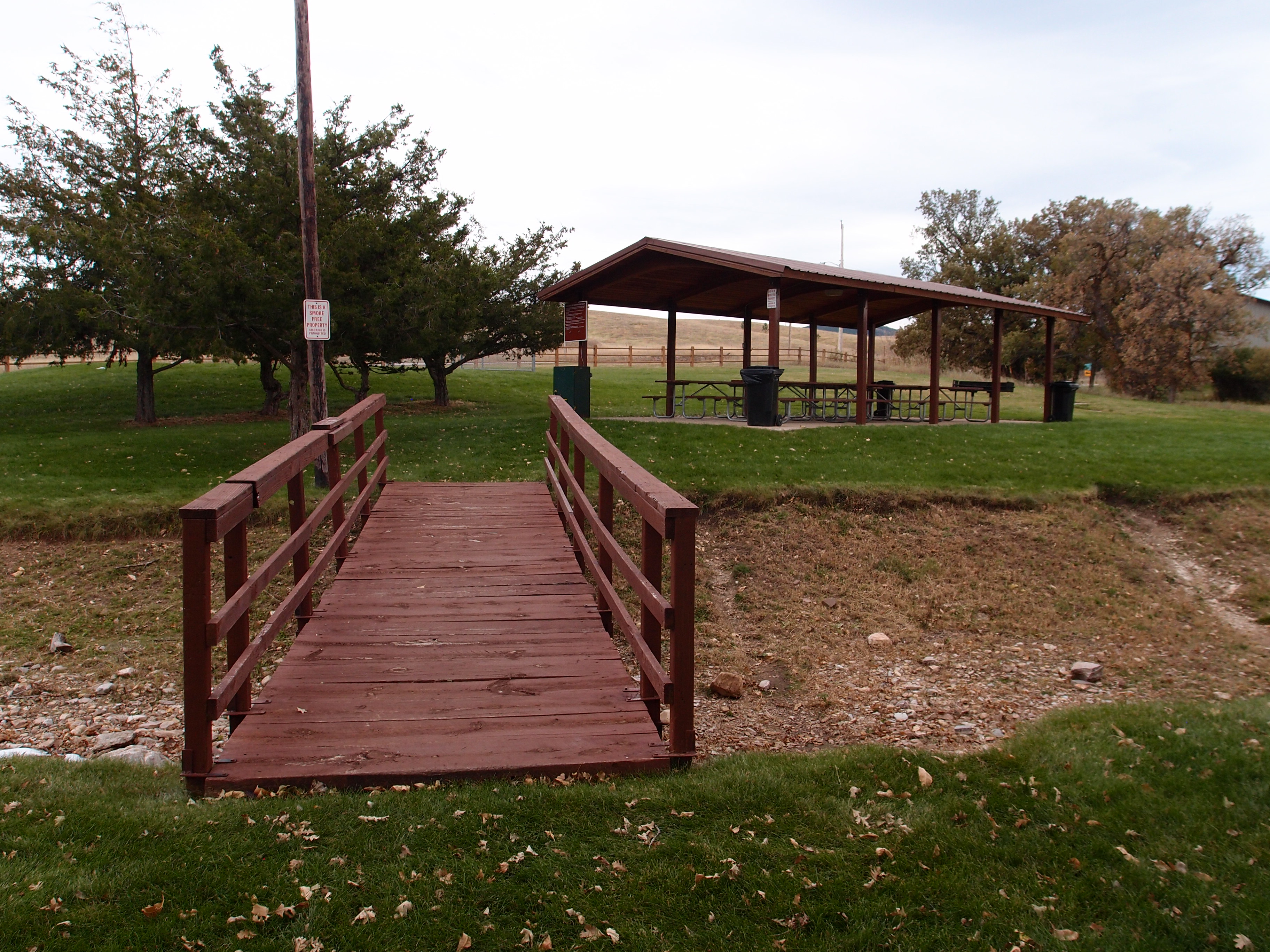 Mountain Shadows Park Memorial Tree