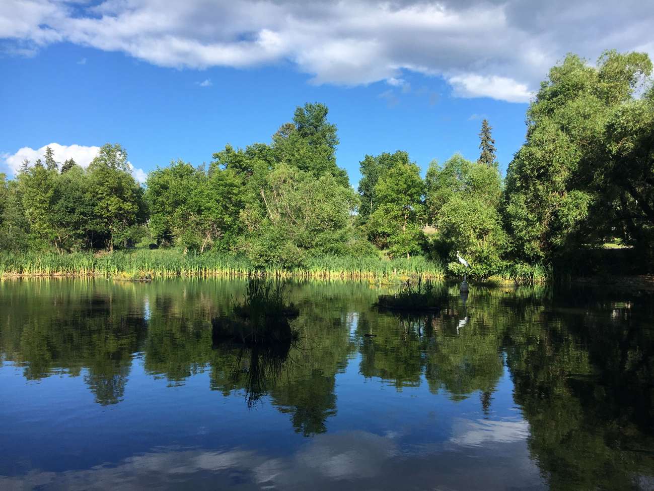 Riverside Park Memorial Bench