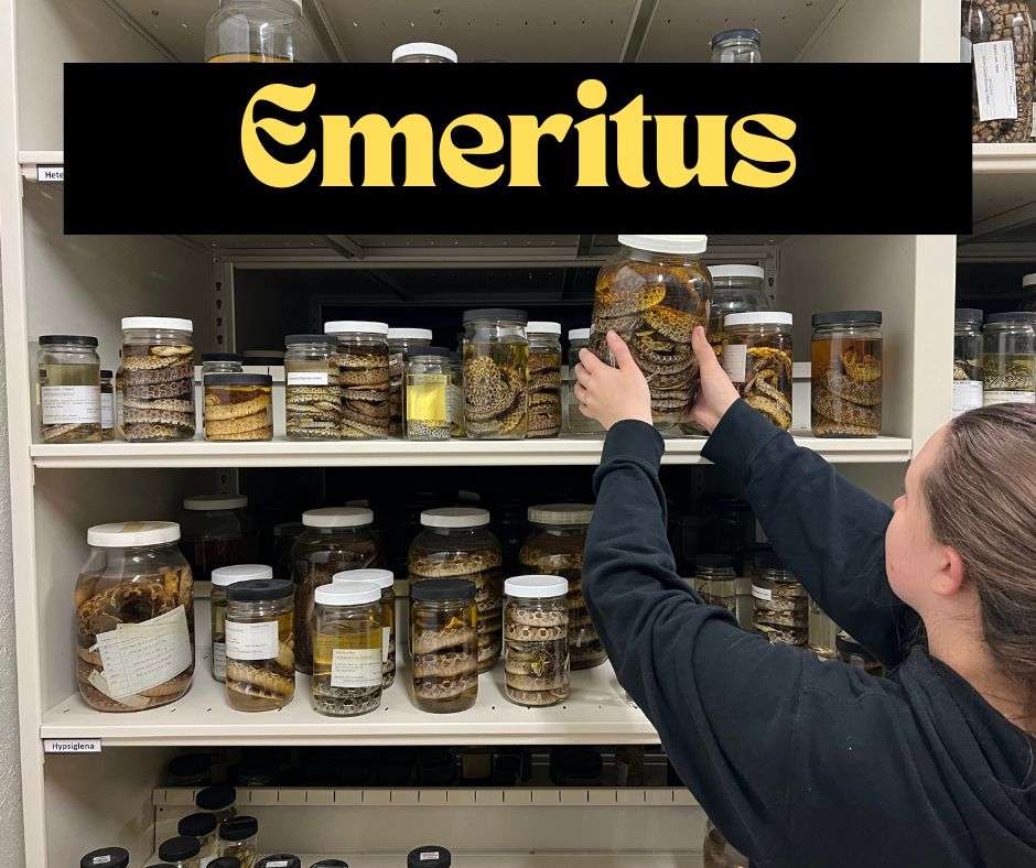 Emeritus Tier Sponsor