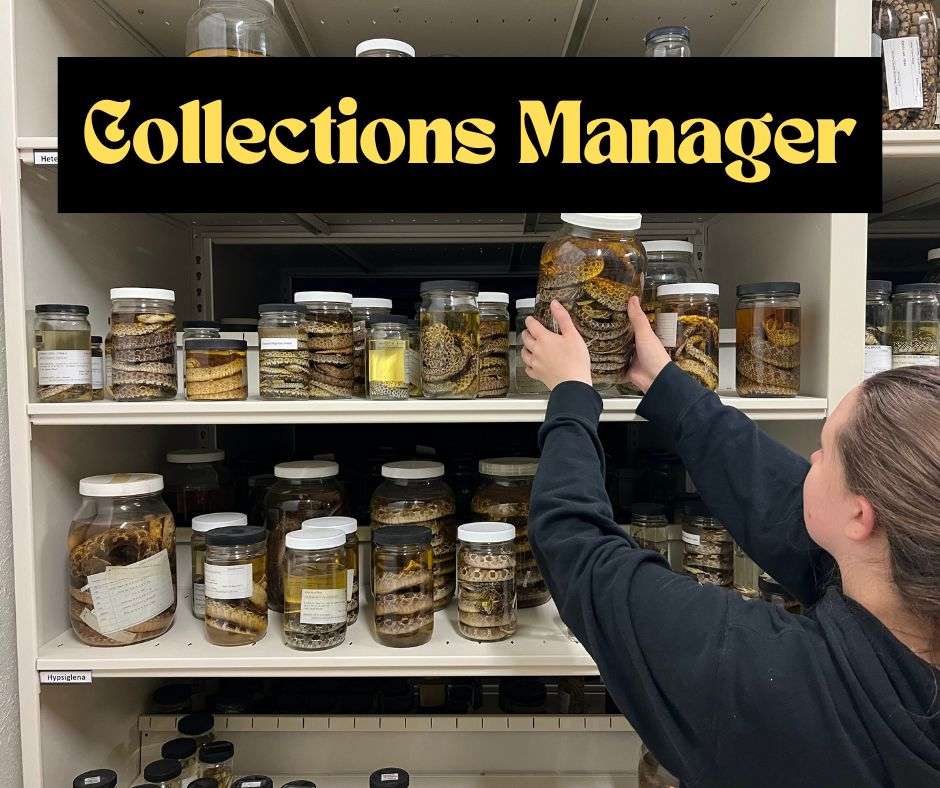 Collections Manager Tier Sponsor