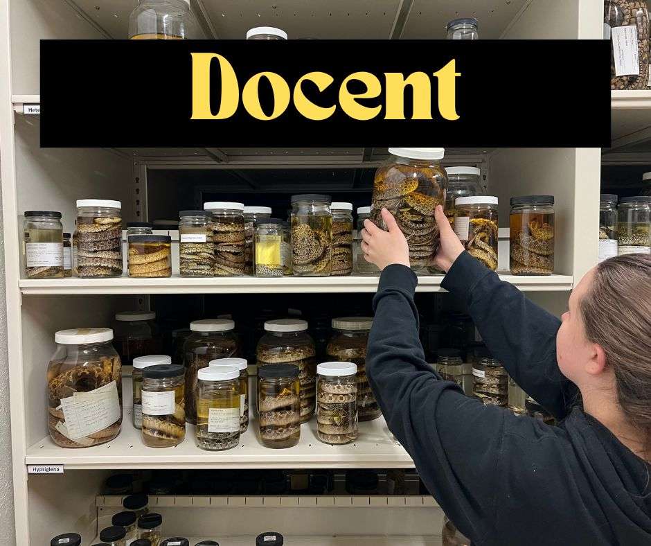 Docent Tier Sponsor