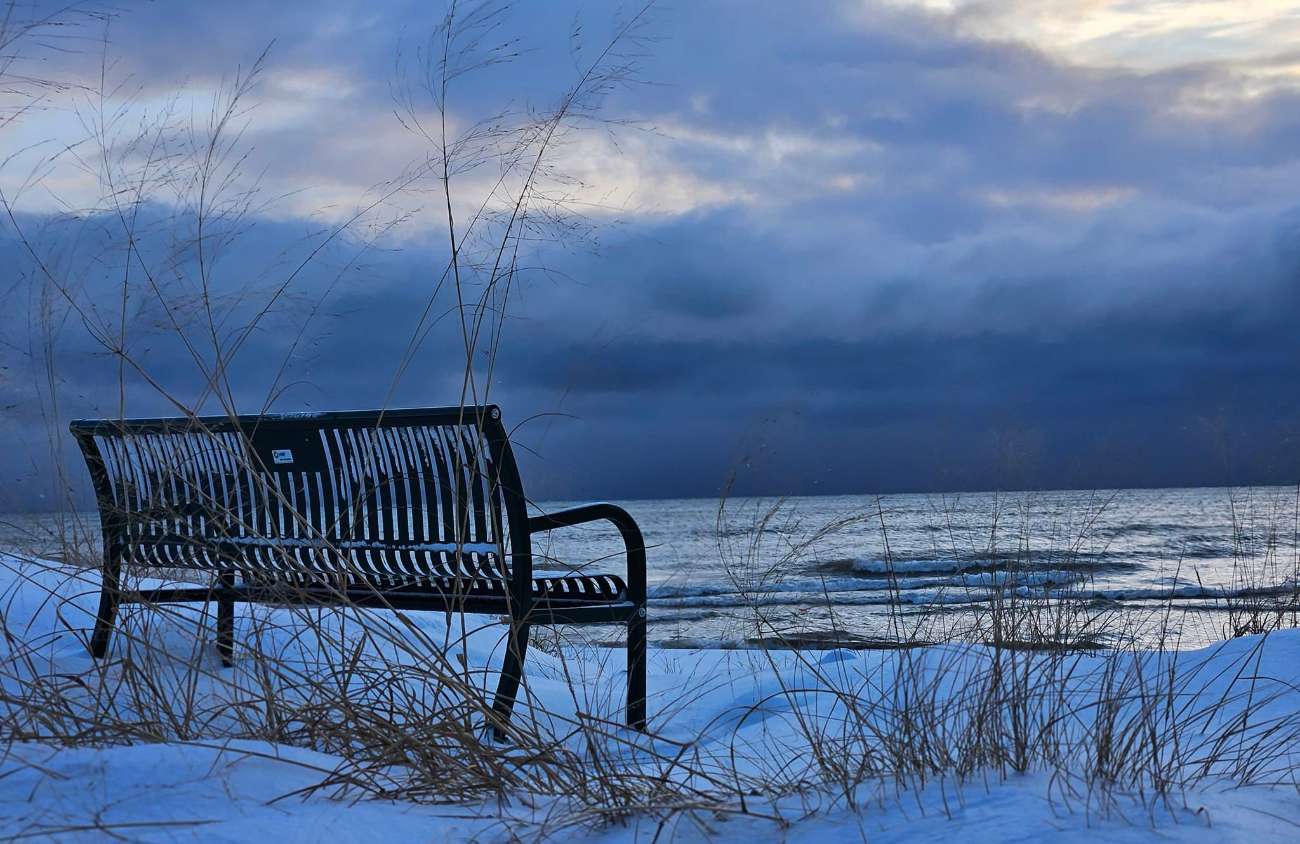 Dedicate a New Bench
