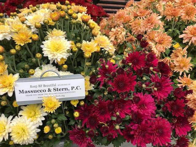 Planter Sponsor