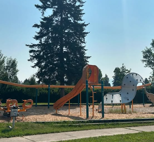 Memorial Park Memorial Tree