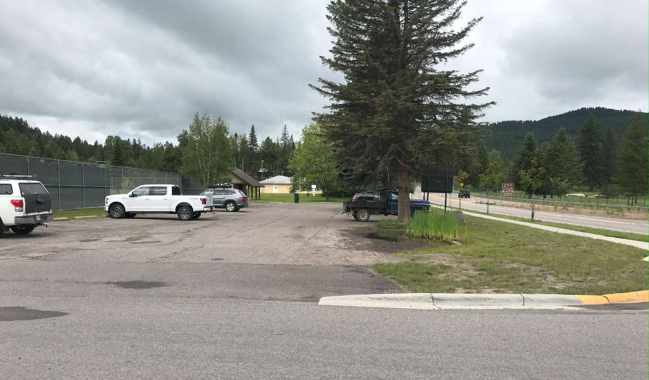 Grouse Mountain Park Memorial Tree