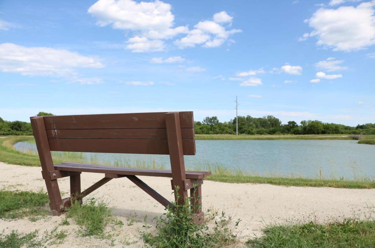 Dedicate a Bench at Ingram Park