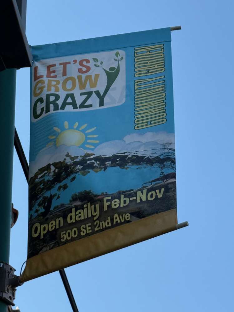 Main Street Business Banner