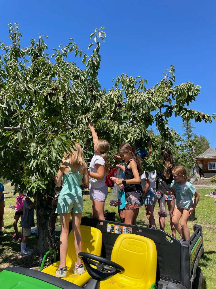 Summer Camp Sponsorship