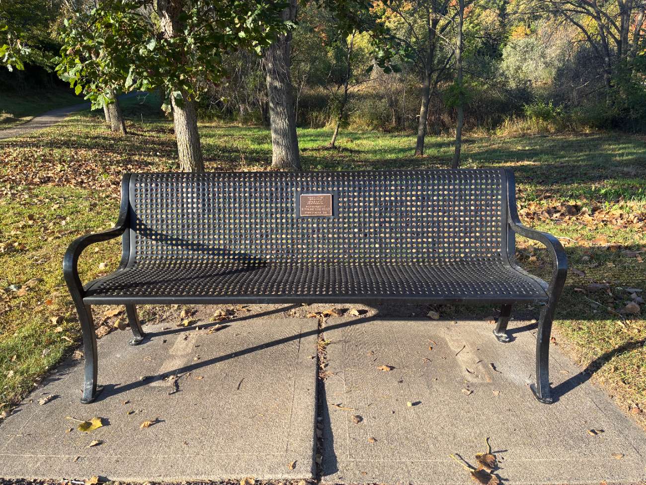 Lakefront Park Bench 1056