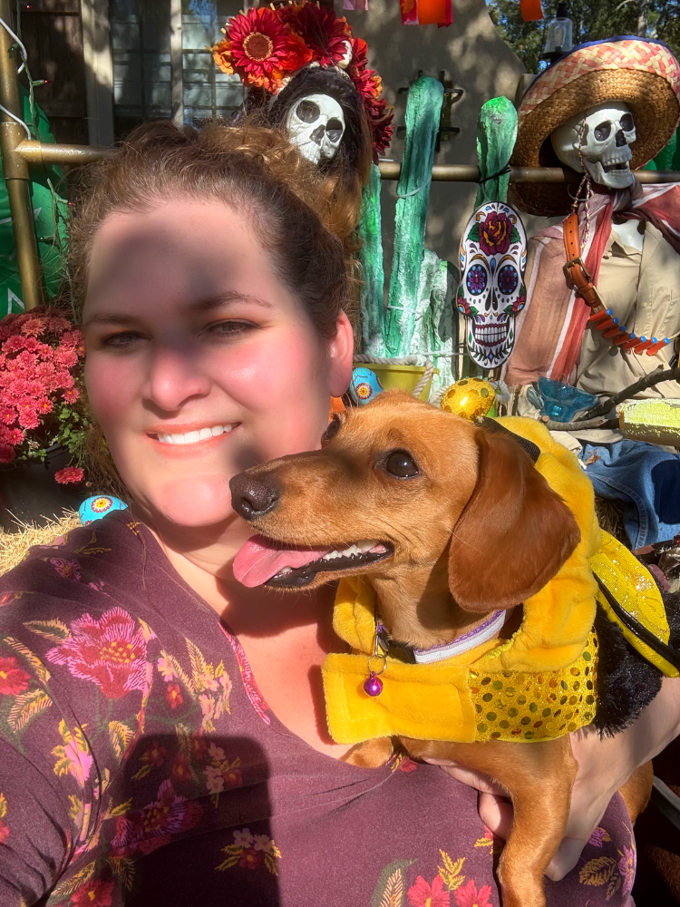 Vote for The Villas at Spanish Court