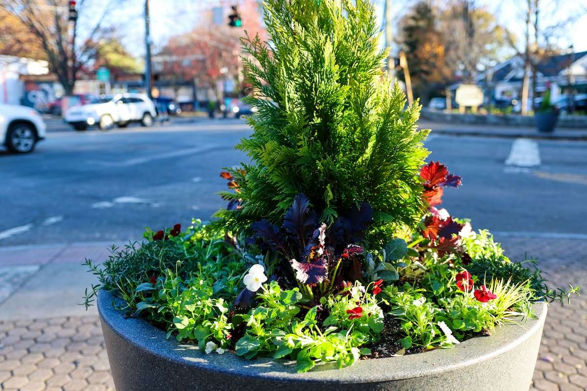 Large, Self-Watering Planters