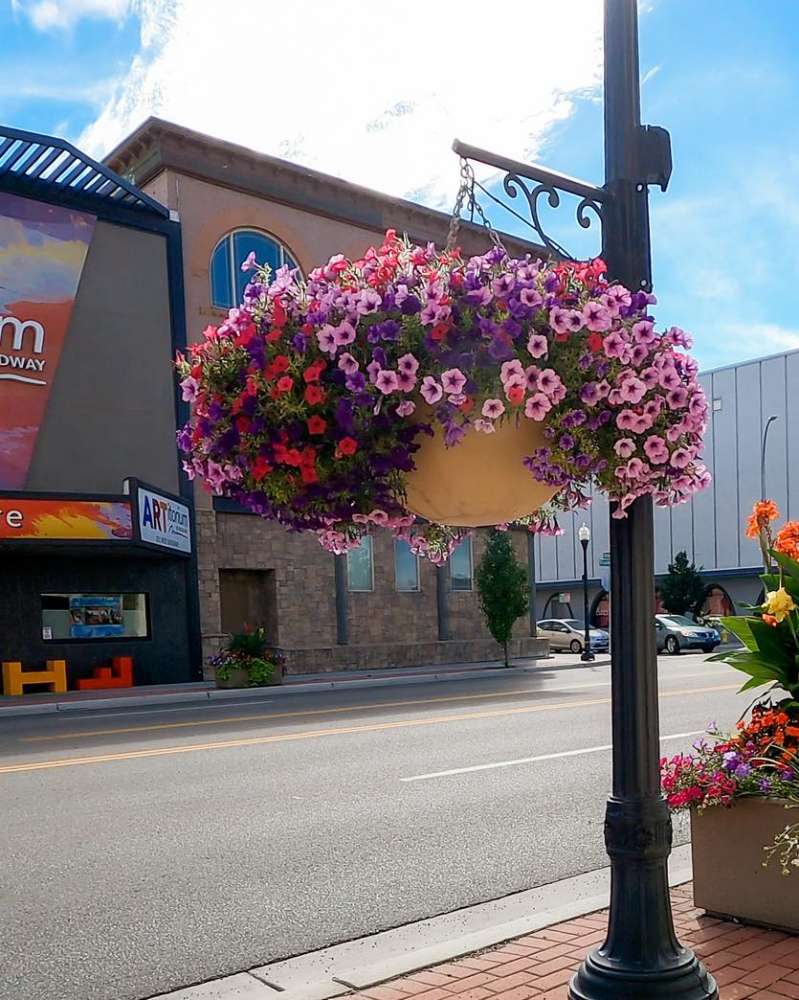 1 Hanging Flower Basket 