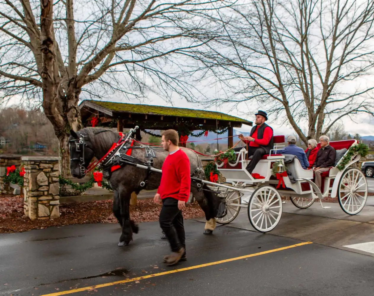 Carriage Ride Sponsor